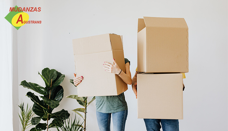 Pareja transportando cajas de una mudanza.